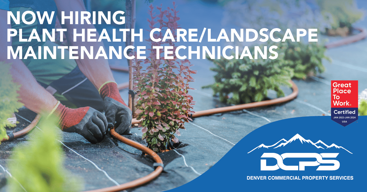 landscaping-archives-dcps