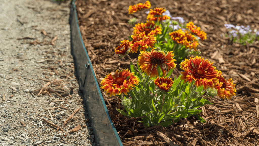 Image of flower bed