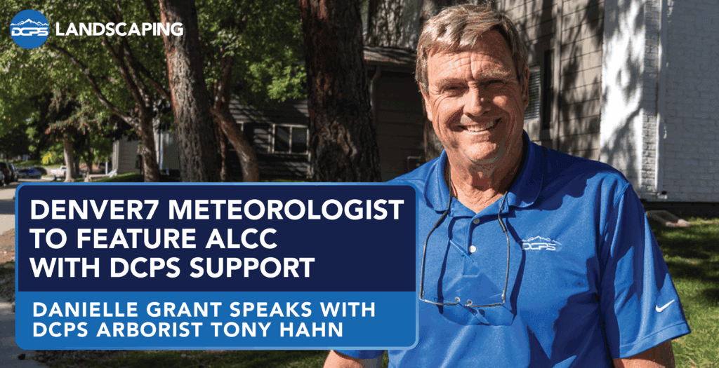 DCPS Arborist Tony Hahn smiles outdoors under tall trees, wearing a blue DCPS Landscaping polo. A graphic overlay reads: “Denver7 Meteorologist to Feature ALCC with DCPS Support – Danielle Grant Speaks with DCPS Arborist Tony Hahn.”