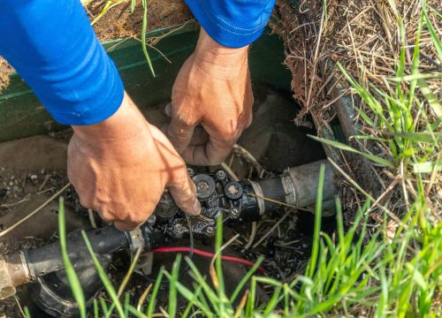 DCPS-PHOTO-A6700-LD-WelchPark-Planting-Irrigation-402