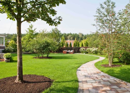 Landscaping.jpg